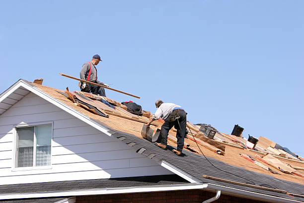 Best Wood Shake Roofing  in Webster Groves, MO