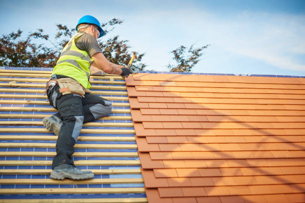 Best Flat Roofing  in Webster Groves, MO